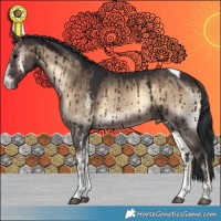 Horse Color:White Spotted Brown Onyx Tobiano Rabicano Brindle 