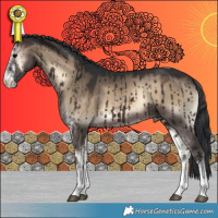 Horse Color:White Spotted Brown Onyx Tobiano Rabicano Brindle 