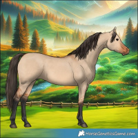 Horse Color:Bay Dun 