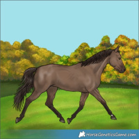 Horse Color:Liver Red Dun