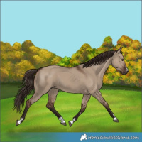 Horse Color:Liver Red Dun 