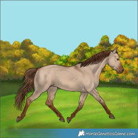 Horse Color:Red Dun 