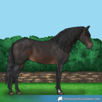 Horse Color:Brown 