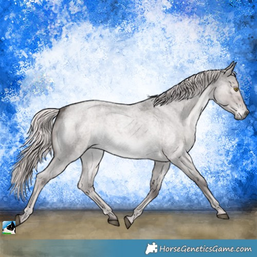 Horse Color:Platinum Chocolate Palomino Roan Dun Rabicano