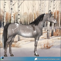 Horse Color:Platinum White Spotted Liver Red Dun 