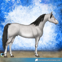 Horse Color:Platinum White Spotted Liver Red Dun Roan 