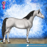 Horse Color:Platinum White Spotted Liver Red Dun Roan 