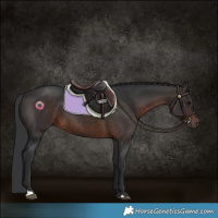 Horse Color:Brown 