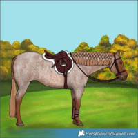 Horse Color:Red Roan
