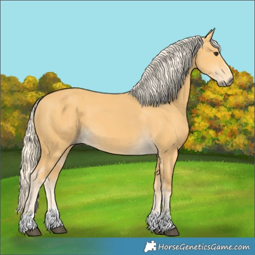Horse Color:Palomino 