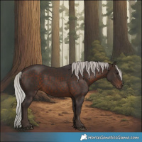 Horse Color:Silver Brown 