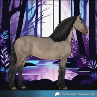 Horse Color:Brown Dun