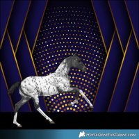 Horse Color:Blue Roan Tobiano Near Leopard 