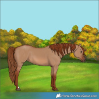 Horse Color:Red Dun 