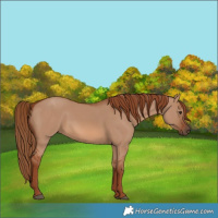 Horse Color:Red Dun 