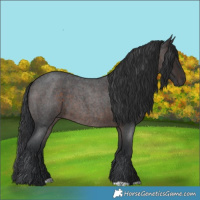 Horse Color:Brown Roan 