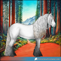 Horse Color:Gray White Spotted Liver Chestnut 