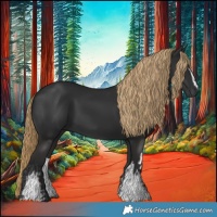 Horse Color:Gray White Spotted Liver Chestnut 