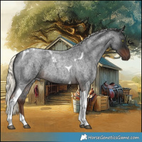 Horse Color:Liver Red Roan Mushroom Tobiano 