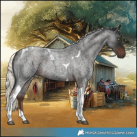 Horse Color:Liver Red Roan Mushroom Tobiano