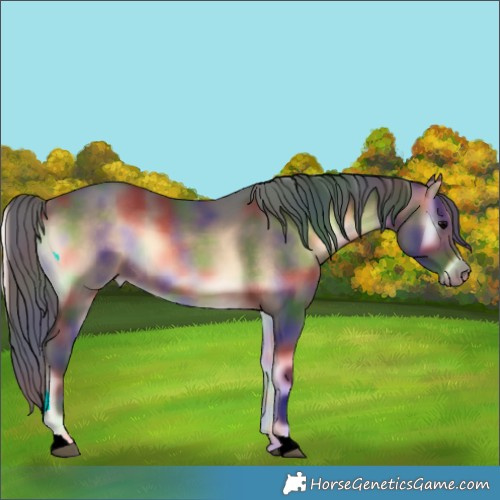 Horse Color:Nacre Bay Onyx 
