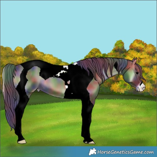 Horse Color:Nacre Blue Onyx Tobiano 