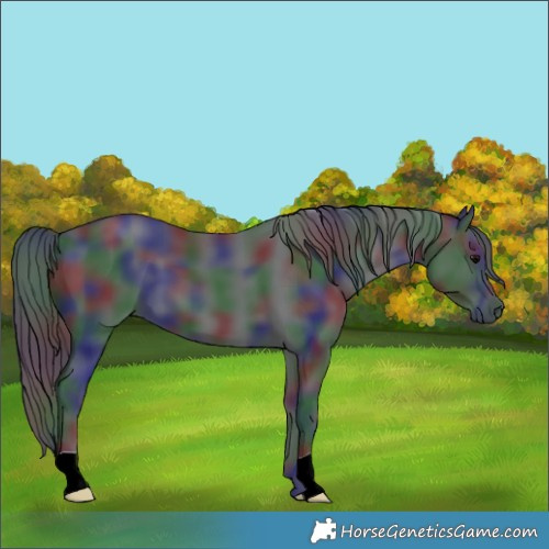 Horse Color:Nacre Black
