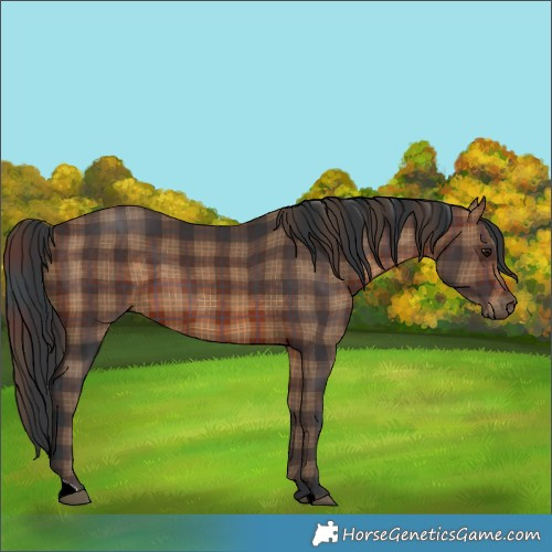 Horse Color:Plaid  Brown 