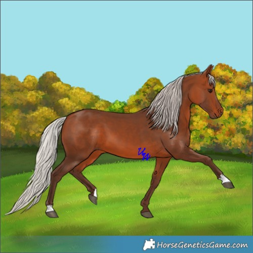 Horse Color:Silver Brown 