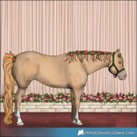 Horse Color:Gold Champagne Tobiano 
