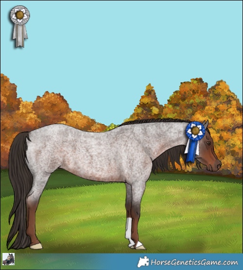 Horse Color:Liver Red Roan 