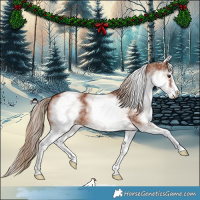 Horse Color:White Spotted Chestnut Sabino 