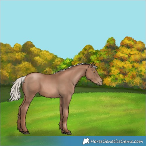 Horse Color:Silver Black Pearl 