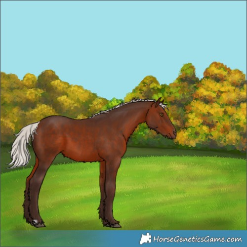 Horse Color:Silver Brown 