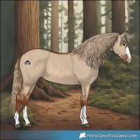 Horse Color:Red Dun Rabicano