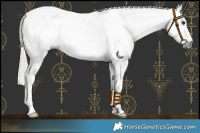 Horse Color:Gray Palomino Roan Tobiano Blanket