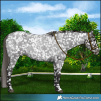 Horse Color:Smoky Blue Roan Blanket 