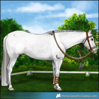 Horse Color:Black Snowcap 