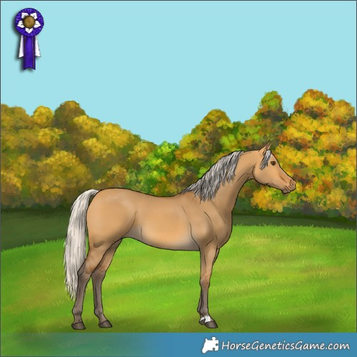 Horse Color:Silver Buckskin Dun 
