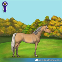Horse Color:Silver Buckskin Dun 