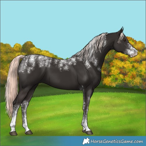Horse Color:Powder White Liver Chestnut Mushroom 