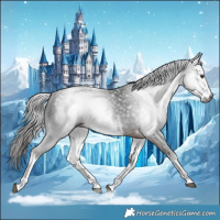 Horse Color:Gray White Spotted Liver Chestnut 