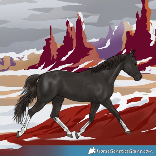 Horse Color:White Spotted Liver Chestnut