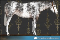 Horse Color:White Spotted Liver Chestnut Mushroom