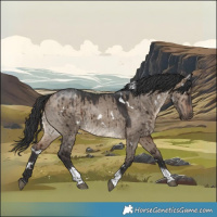 Horse Color:White Spotted Brown Dun Tobiano Brindle
