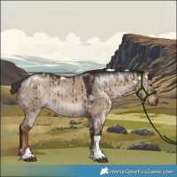 Horse Color:White Spotted Liver Red Dun Tobiano Brindle