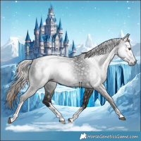 Horse Color:Gray White Spotted Liver Chestnut 