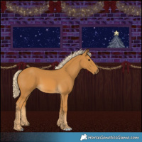 Horse Color:Palomino 