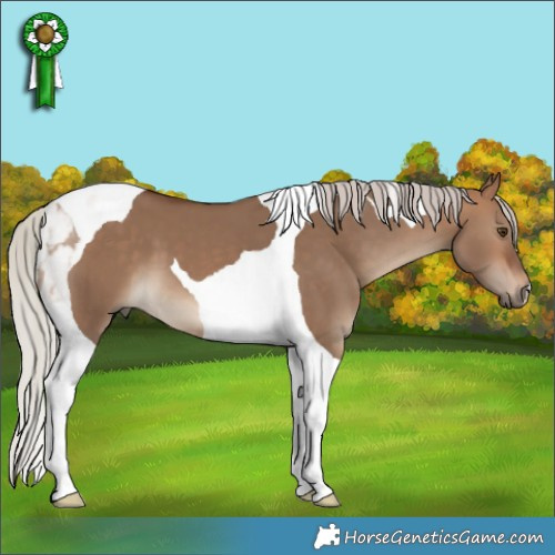 Horse Color:Silver Bay Dun Tobiano 