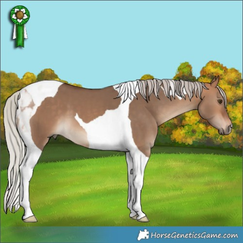 Horse Color:Silver Bay Dun Tobiano 